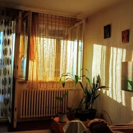 Men Who Knit Apartamento Belgrado